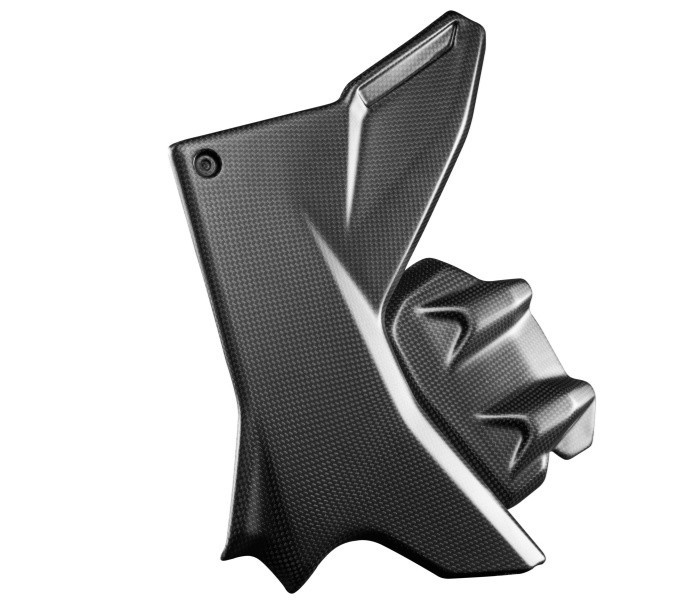 Motorcycle Carbon Fiber Parts 1